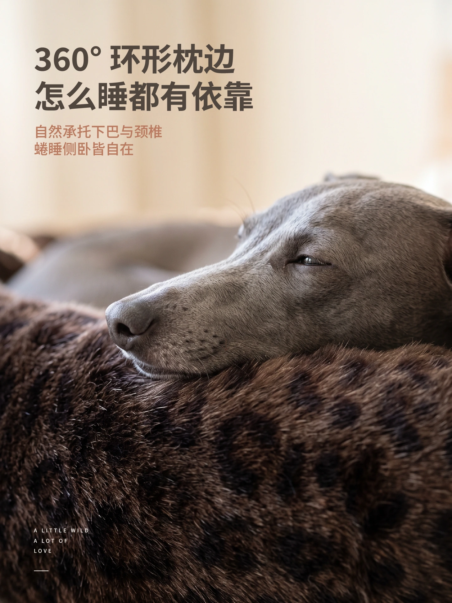 豹纹系列 · 圆形狗床 主图系列