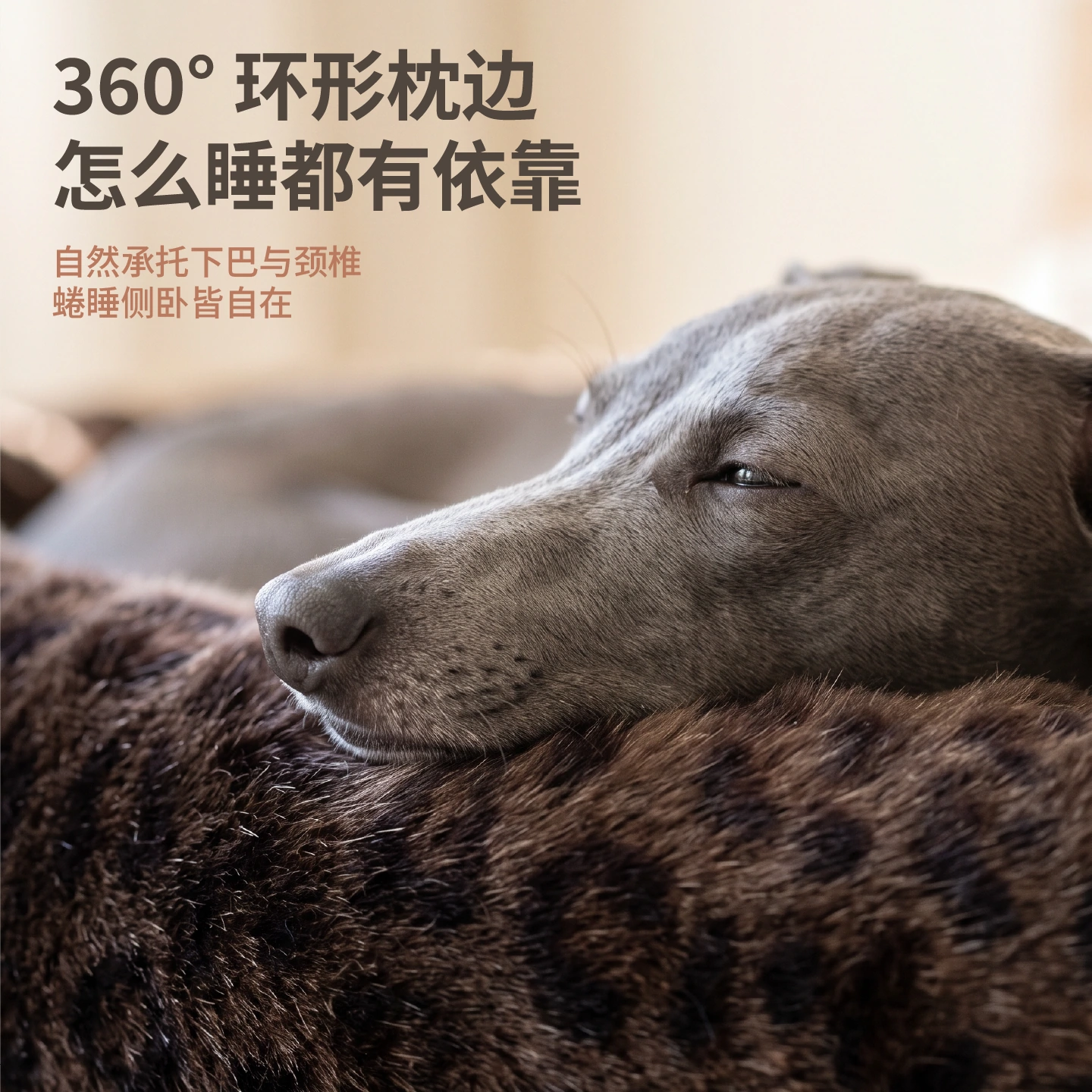 豹纹系列 · 圆形狗床 / 方形主图 / 1:1 / 02